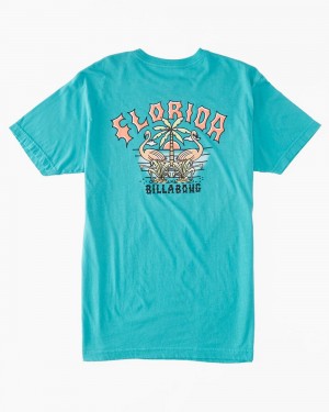 Blue Men's Billabong Flamingo Arch T-Shirt | 140239KZQ